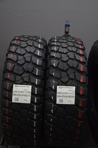Pneumatici 255 r17 bf - pneumatici,