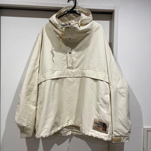 Gucci north face mountain - north,
