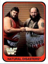 card wwf wrestling merlin 1991