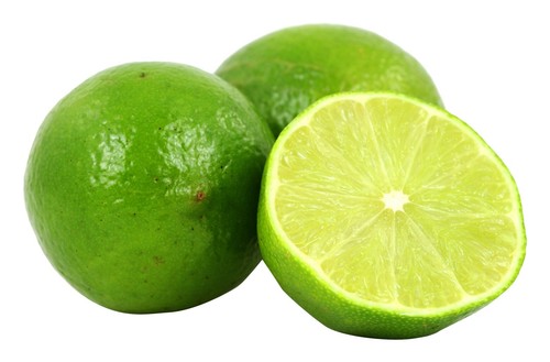 Citrus aurantifolia key lime - citrus,