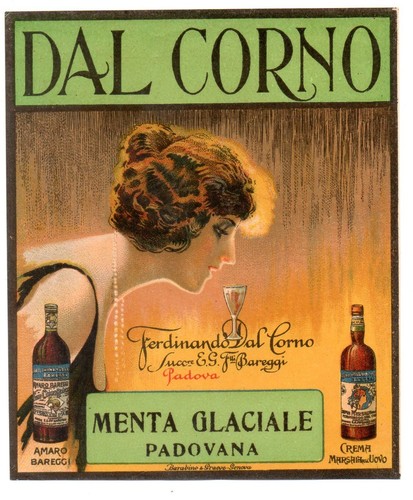 Etichetta menta amaro - menta, bareggi