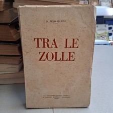 TRA LE ZOLLE, D. Zeno Saltini