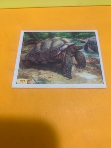 Figurina 337 animali - n.337,