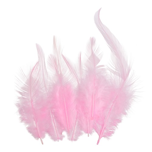 Plumas gallo silla - plumas, de