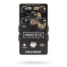 Neunaber Immerse Reverberator