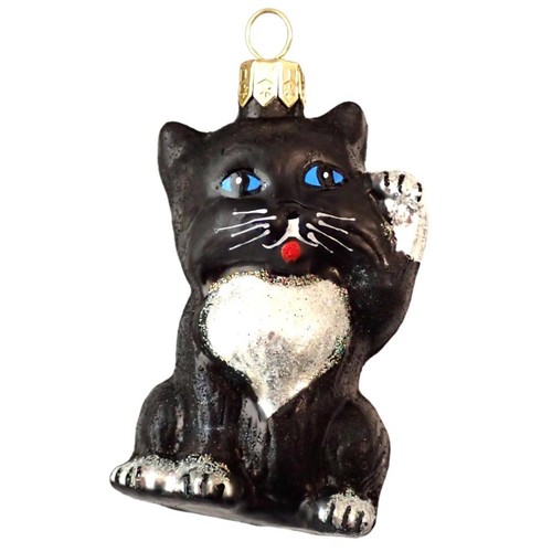 Gatto nero gattino zampa - gatto, su
