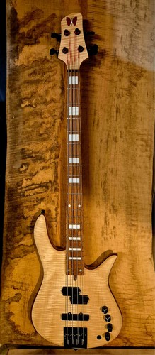 Basso chitarra corde - basso,