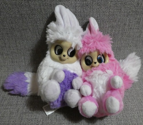 Coppia bush baby world 2017 - baby,