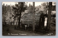 Cartolina antica Oregon WOLF CREEK sequoia terrazza cabina Rppc 1951