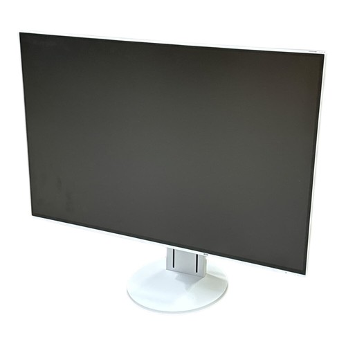 Altoparlante eizo flexscan - 24",