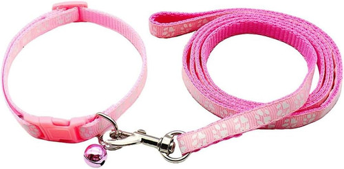 Collare cane collari - collare, e