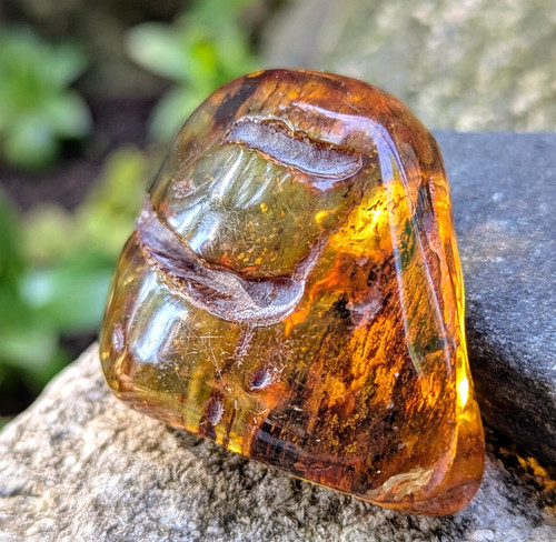 Unica grande pietra ambra