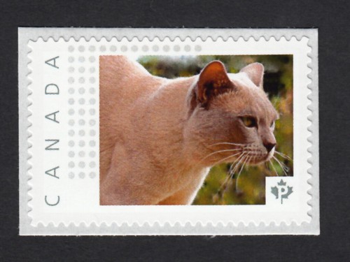 Gatto birmano affrancatura - =,