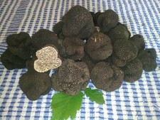 100gr tartufo fresco - tartufo, nero