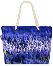 Campo di lavanda Spagna fiori