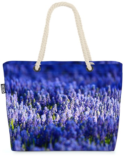 Campo lavanda spagna fiori - lavanda,