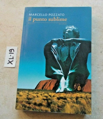 Libro punto sublime - il,