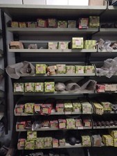 Indotto Alternatore e Motorino