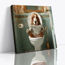 Bassett Hound cane lettura