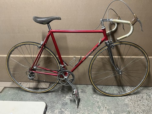 Bici corsa fausto coppi 53 - coppi,