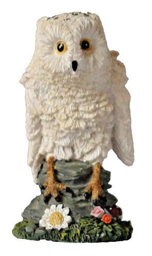 Gufo civetta roccia piume - roccia,