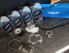 Kit distribuzione SKF + filtro