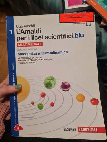 Amaldi per licei - l'amaldi,