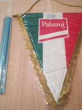 football pennant PALUANI