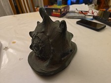 Conchiglia gigante Shell - Cassis Cornuta - Rivestita - all'incirca 20 cm