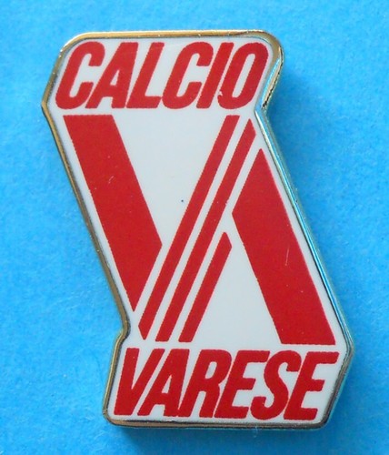 Distintivo spilla pin badge - distintivo,