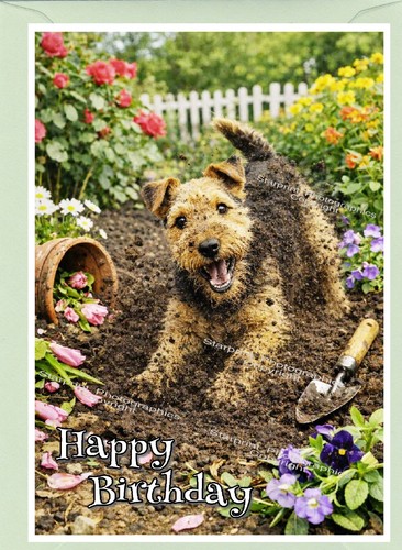 Biglietto compleanno cane - biglietto,
