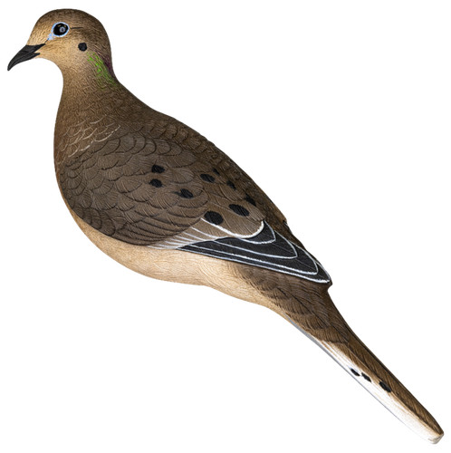 Avian avx dove 6pk - x, colomba