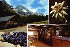 Trento Ziano di Fiemme rifugio capanna Monte Cauriol FG ER491