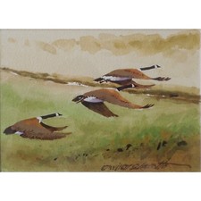 EDWARD SCIRROTTO, Acquerello Orig "3 Oche In Volo", PAFA ELENCATO, Stile Wyeth