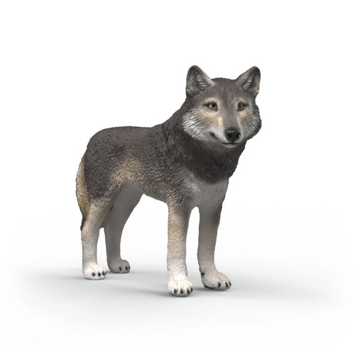 Lupo americano wolf animali - wolf, in