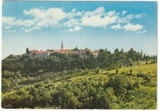 S. PANCRAZIO - BARBARANO - MOSSANO - VICENZA - VEDUTA PANORAMICA -94334-