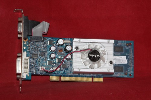Pny nvidia geforce - pny, 8400gs