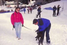 Diapositiva Marlee Matlin con