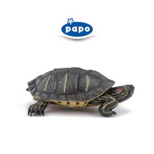 PAPO 50309 TARTARUGA FLORIDA