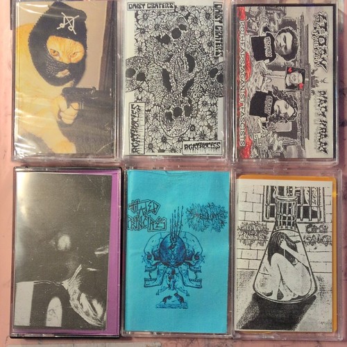 Cassette tape birdeater - 6,
