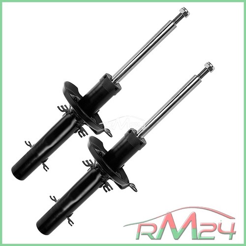 Ammortizzatore pressione a - 2x,