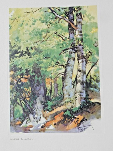 Aldo raimondi gargano - -,