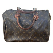 Louis Vuitton Monogram Speedy