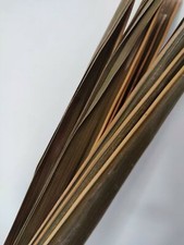 Foglie di Cocco Palma Essiccate 100% Naturale Bio Best Cocos Nucifera 10 Foglie