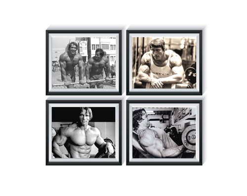 Arnold schwarzenegger palestra - arnold,