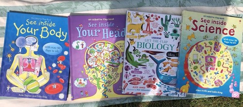 Usborne themed flap - themed,