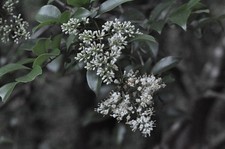 [Testato!/Quasi come nuovo-]