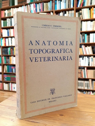 Umberto zimmerl anatomia - zimmerl,