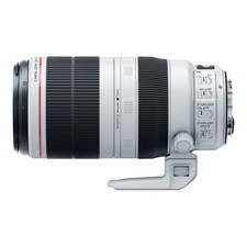 Canon EF 100‐400 mm
