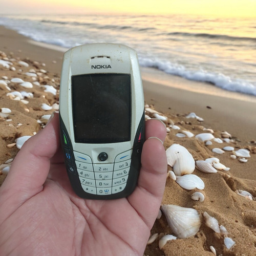 Cellulare nokia 6600 grigio - cellulare,